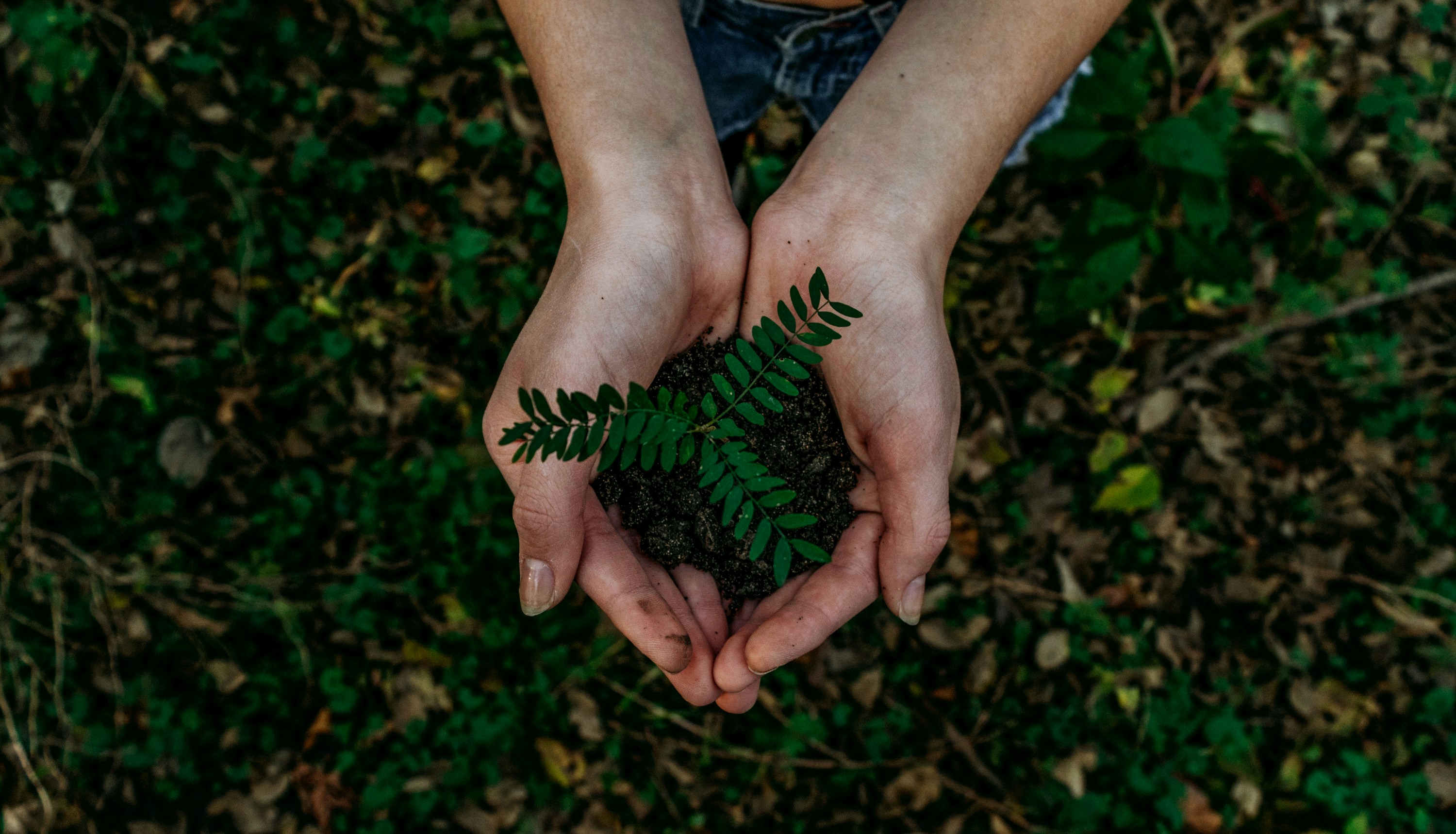 Was ist eigentlich „Nachhaltigkeit“? Und was ist „Greenwashing“?