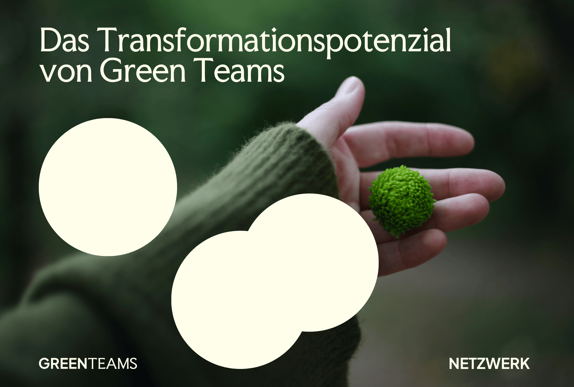 Das Transformationspotenzial von Green Teams
