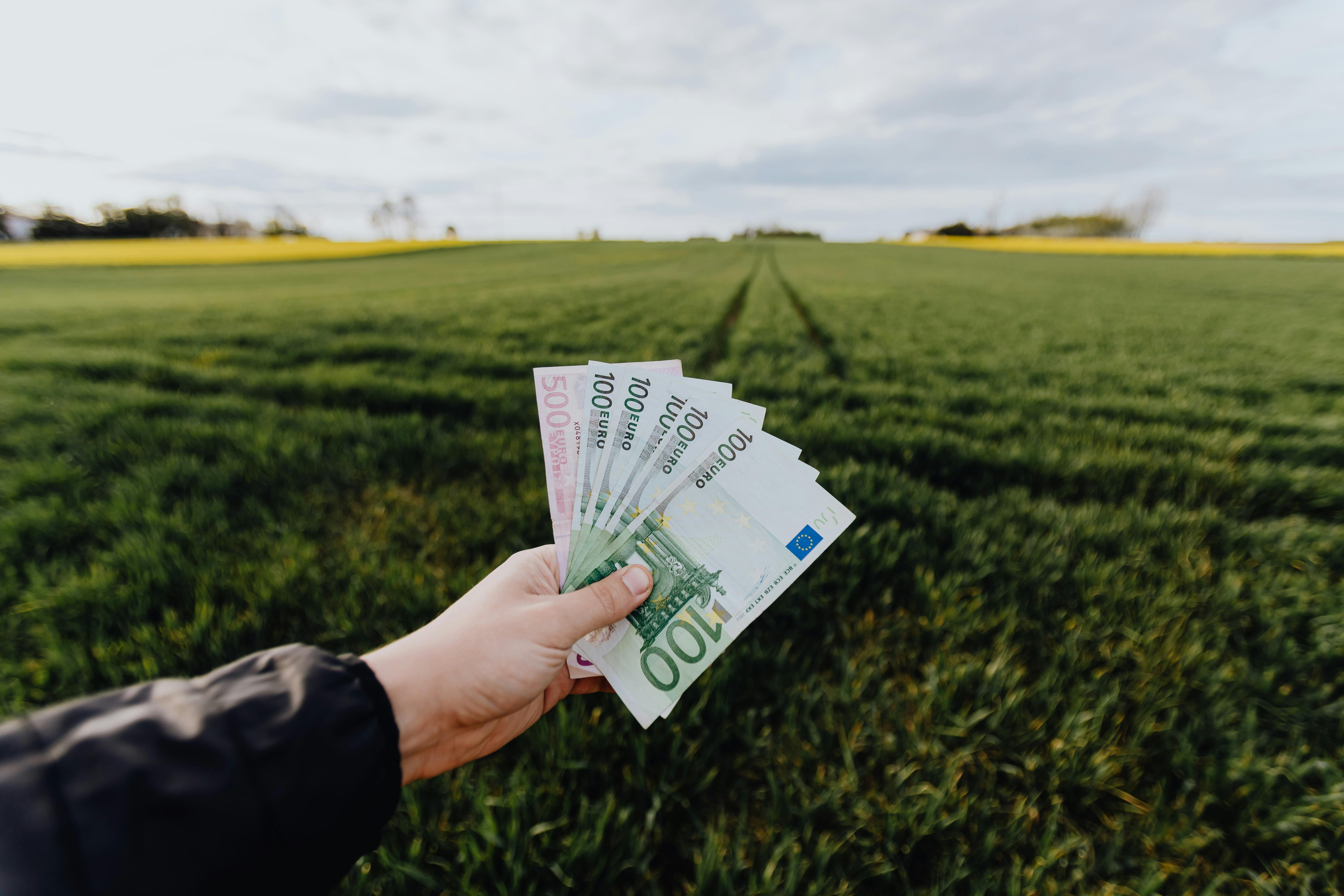 Impulse und Tatkraft für den nachhaltigen Wandel im Bankwesen