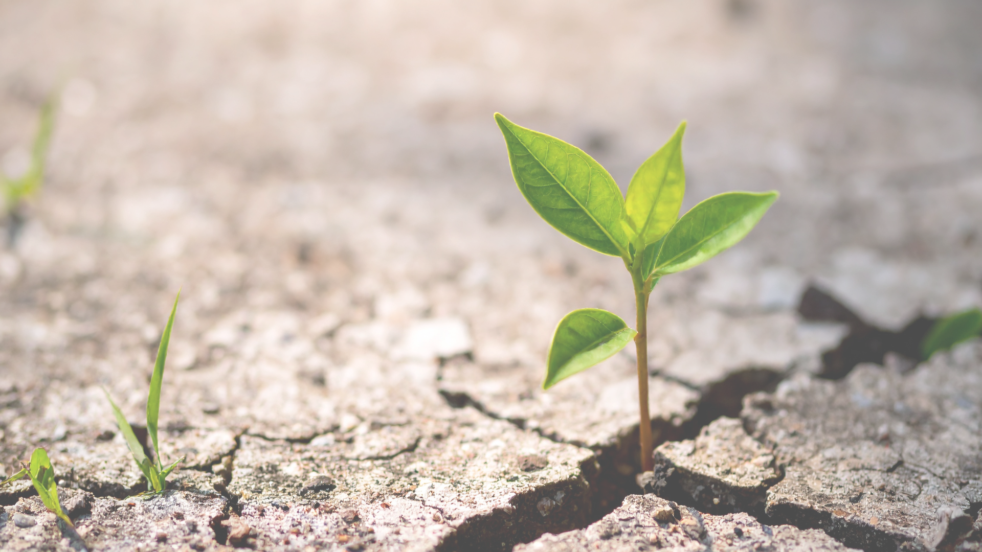 Resilient im Green Team: Wie Green Teams motiviert, handlungsfähig und resilient bleiben können.